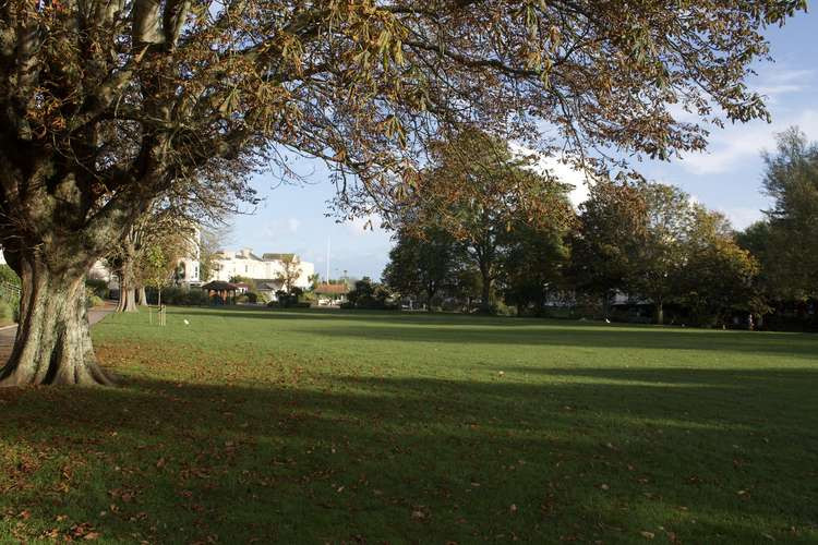 Dawlish Lawn (Nub News, Will Goddard)