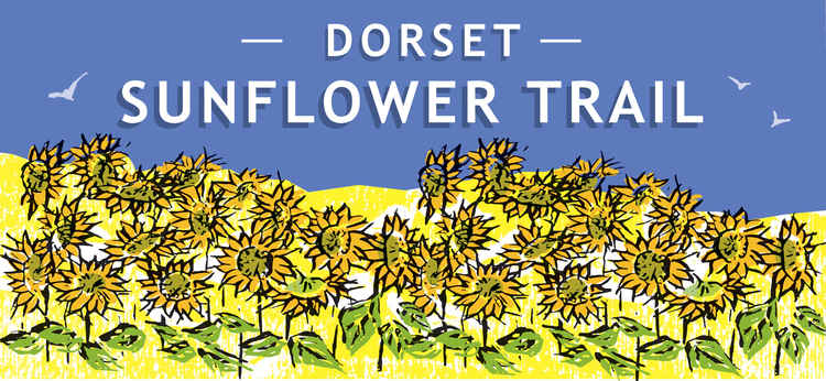 Dorset Sunflower Trail