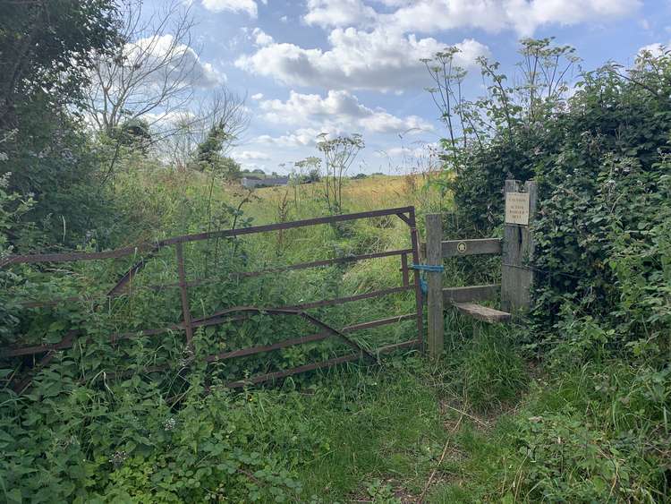 Go over the stile nestled in the right top hand corner of the field