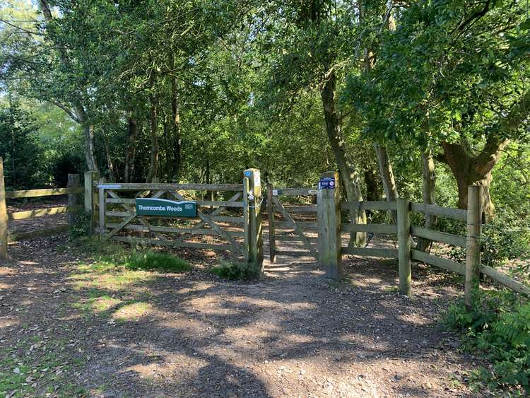 Go through the gate signposted 'Thorncombe Woods'