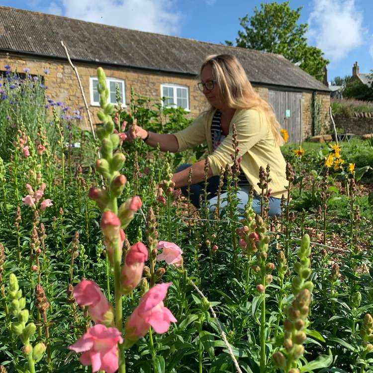 Abbey Farm Flowers