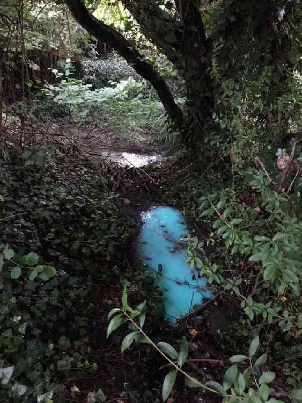 The river after it turned bright blue