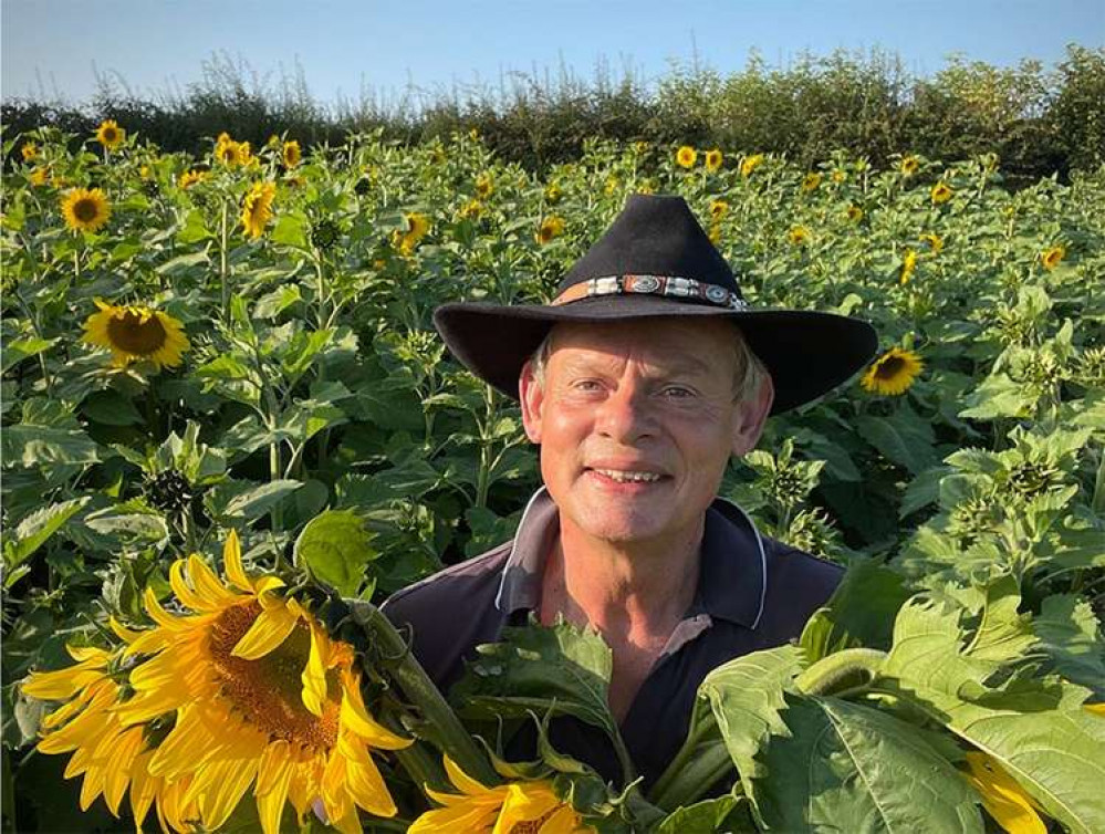 Martin Clunes is selling sunflowers to raise money for Julia's House Children's Hospice Picture: Julia's House Children's Hospice