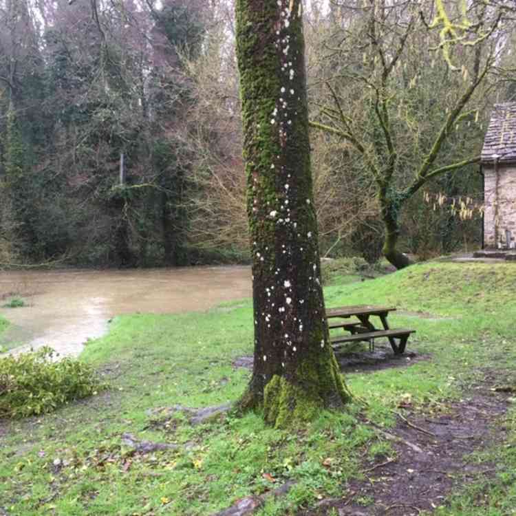 The River Mells at lunchtime on February 15