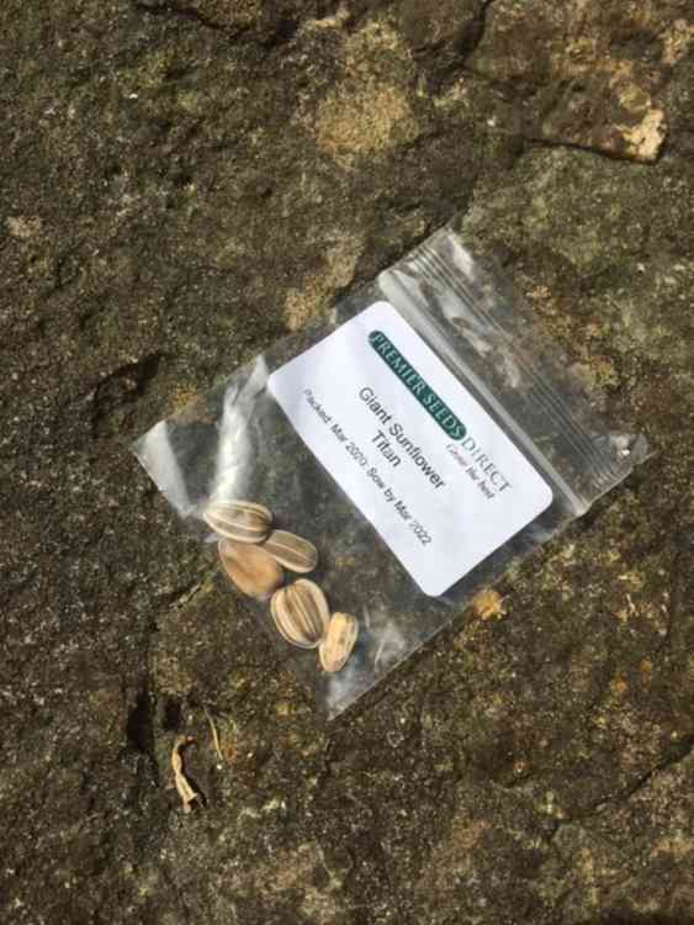 Left out in parks in Frome, a small packet of sunflower seeds with a sign asking people to join the growing competition