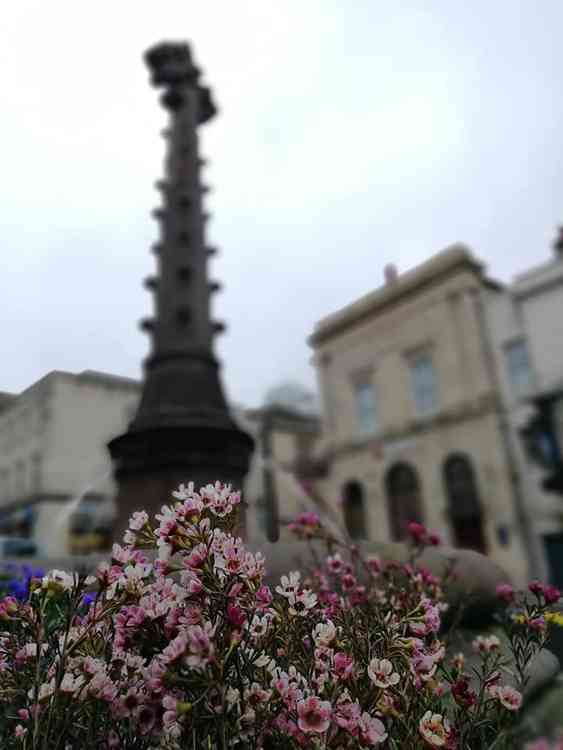 Boyle Cross