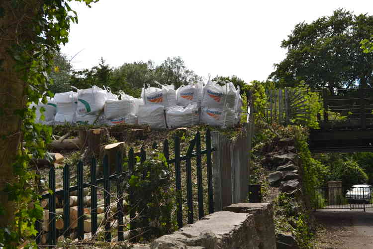 Campaigners argue Network Rail has cut down too many trees without any thought for the environment