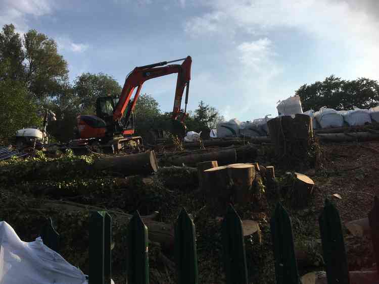 They want to see evidence that Network Rail have, as they maintain, carried out checks for nesting birds