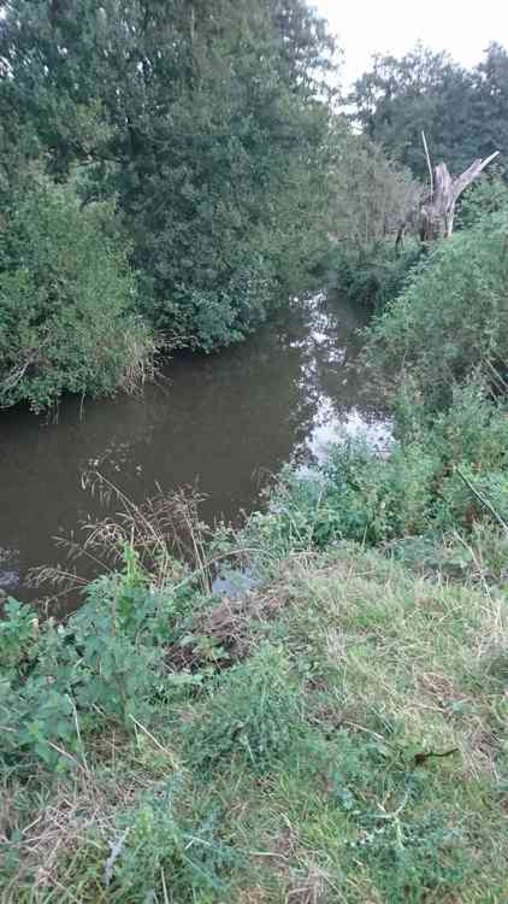 The photo shows the river last night just below the tributary from East Woodlands, where the slurry entered the main river opposite the new Edmund Park development.