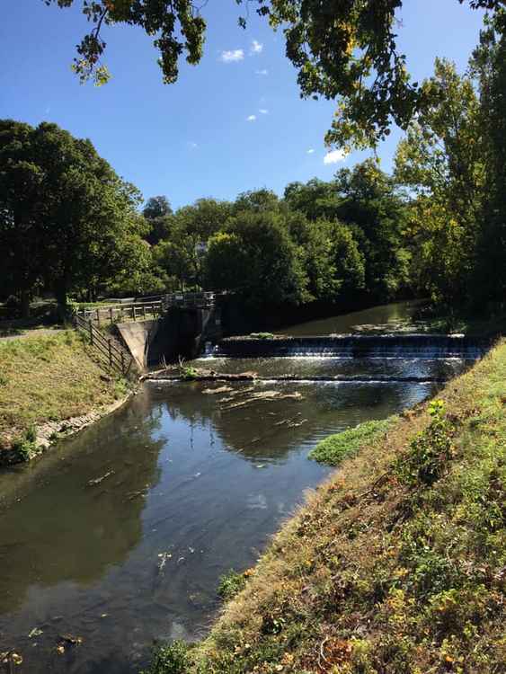 She urges residents to get out and look for themselves at how lovely Frome is