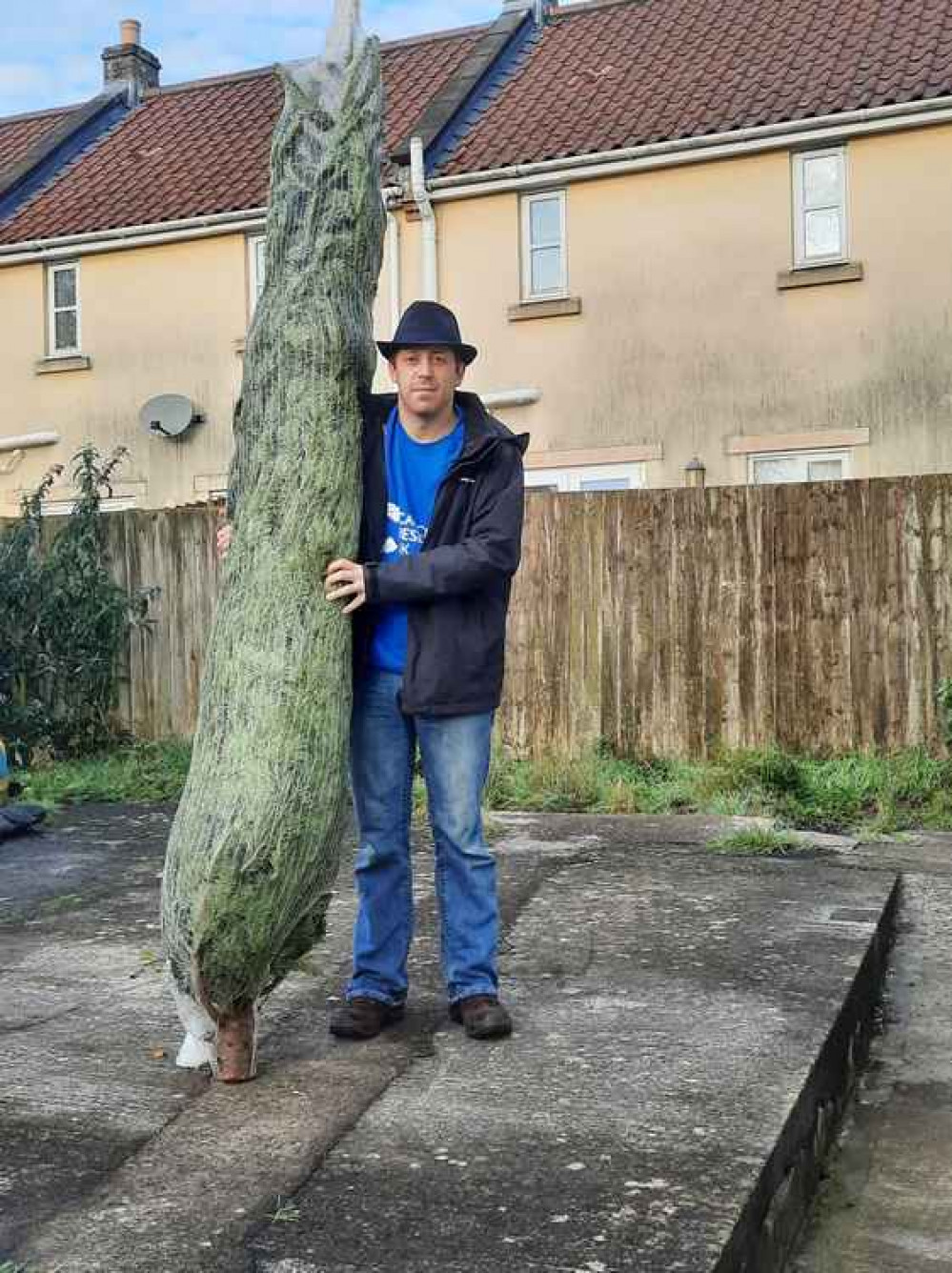 Homebase have donated a 10ft Nordman fir tree
