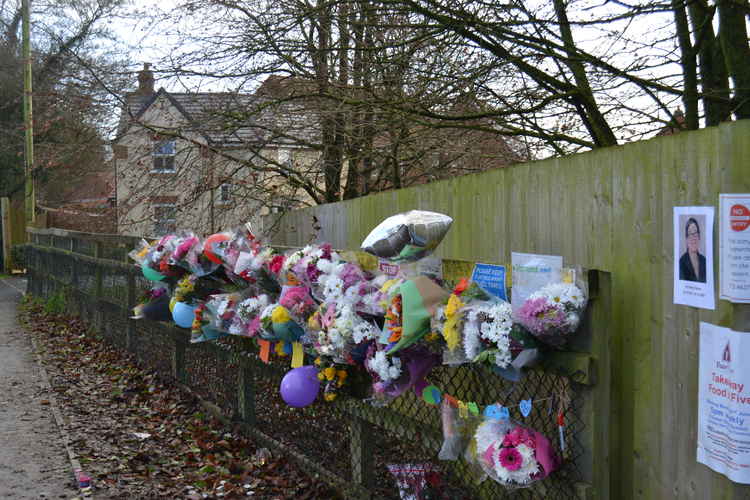 Lining the fence at Christ Church C of E school in Frome