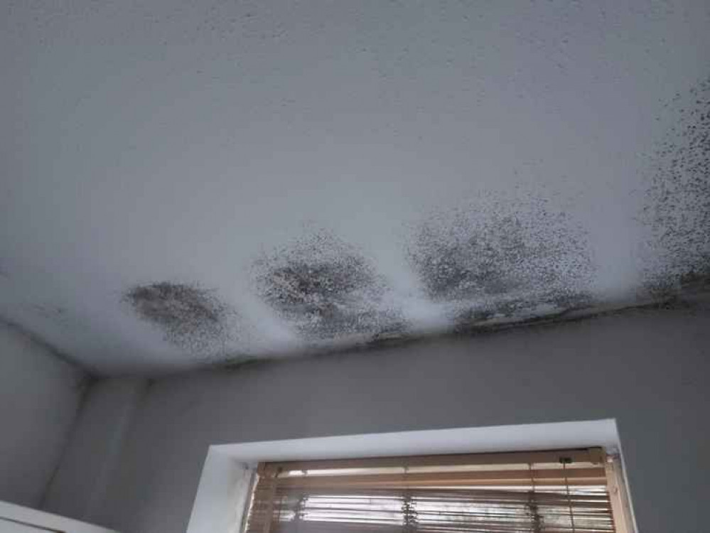 Mould patches on a ceiling at a property in Frome January 6