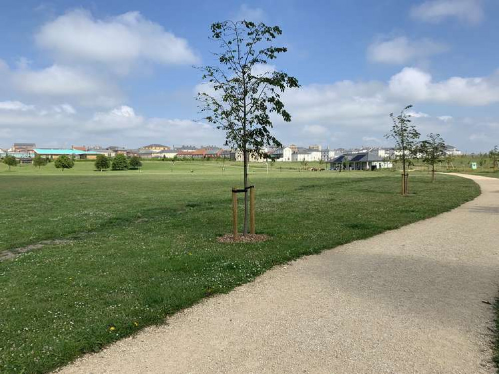 Poundbury's Great Field is the new host of popular parkrun