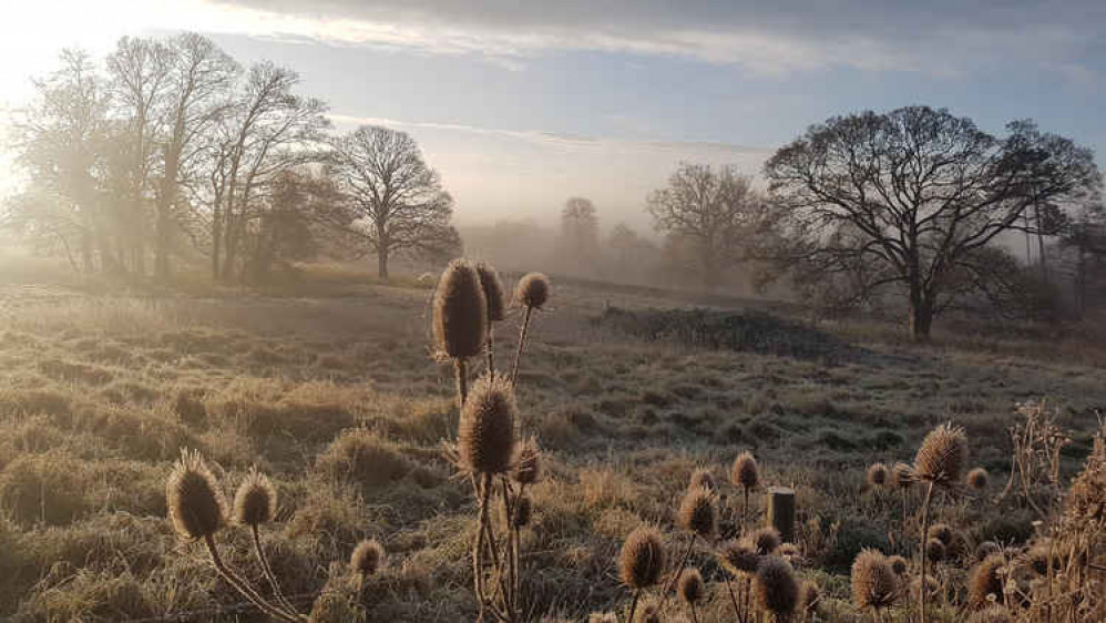 The Easthill site in Frome (Photo: Bharati Pardhy)