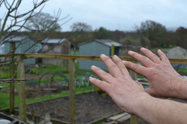 Hands that do gardening : Soil and toil a heady mix