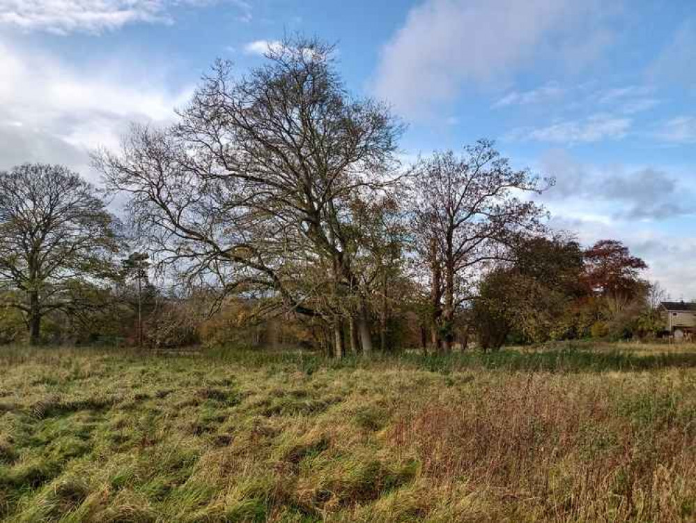 The Easthill Site In Frome. CREDIT: Bharati Pardhy. Free to use for all BBC wire partners.