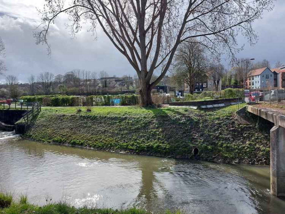 The overflow into the River Frome at Welshmill is also believed to be the getaway route of an otter