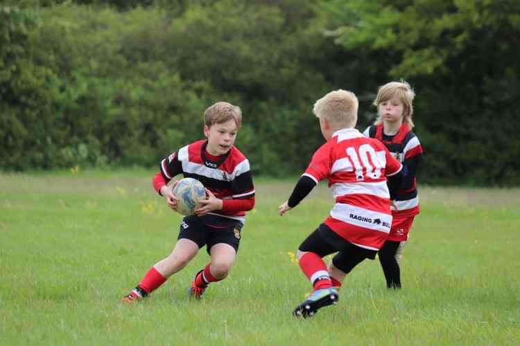 Local rivals Midsomer Norton RFC came over for the matches : Photo Katie White