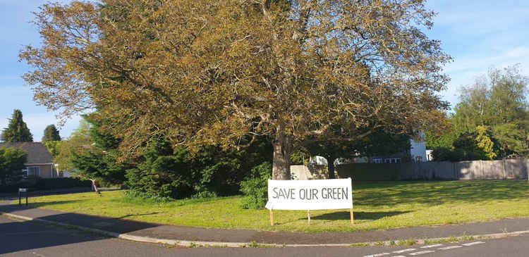 Clear message among the Walnut, Oak and Fir Trees of Selwood Cresent