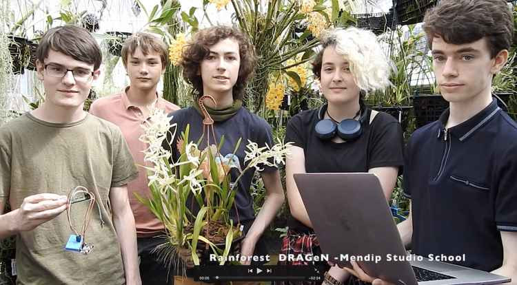 Rainforest Dragen team in the  school greenhouse : (Left to right) Alex, Ed, Otto, Amalia and Jake