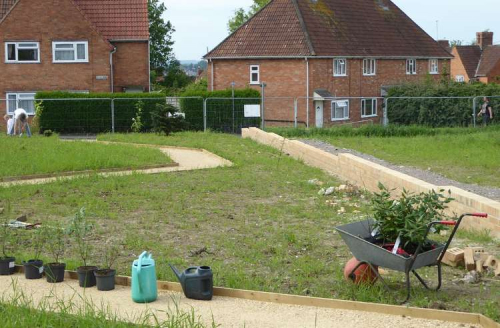 Photo Caption: Planting blossom and fruit trees in the allotment zone at the community garden in Westfield, Yeovil.