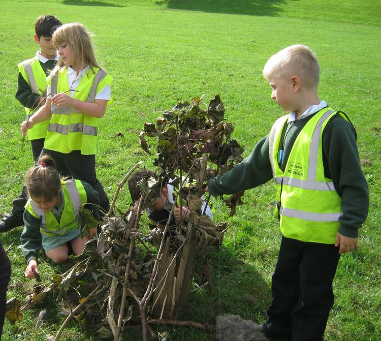 It is great team work here from pupils at Vallis making shelter for Little Echo