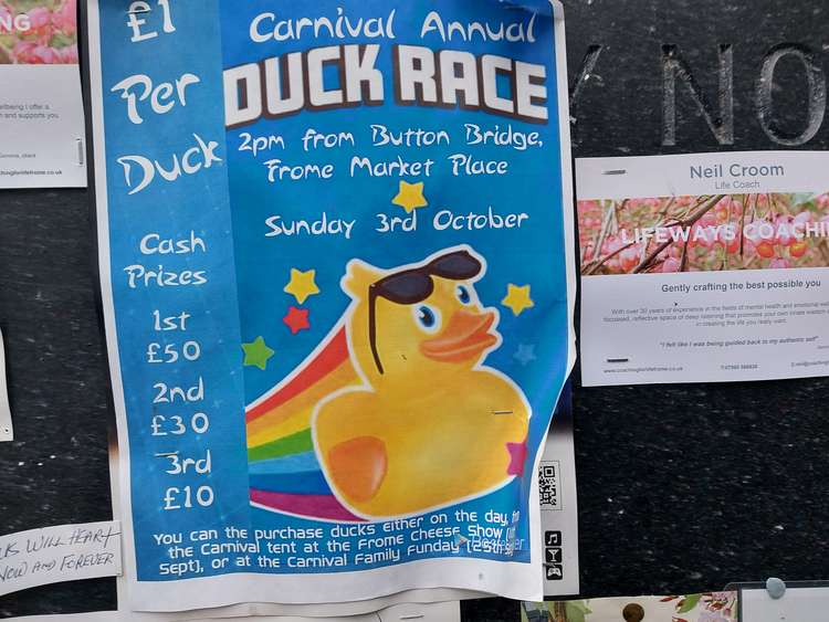 Duck from 2pm !! The ducks will be taking to the river in Frome too