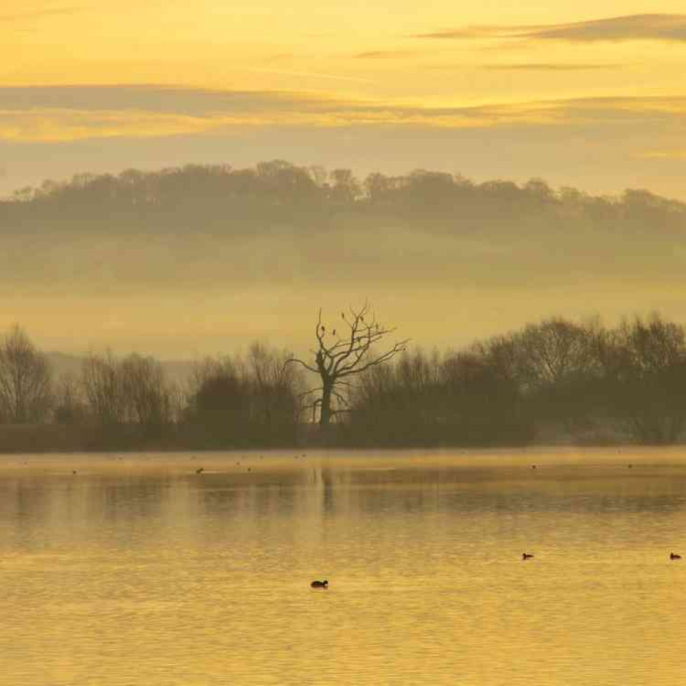 Another fantastic local photo by Lucy Masters