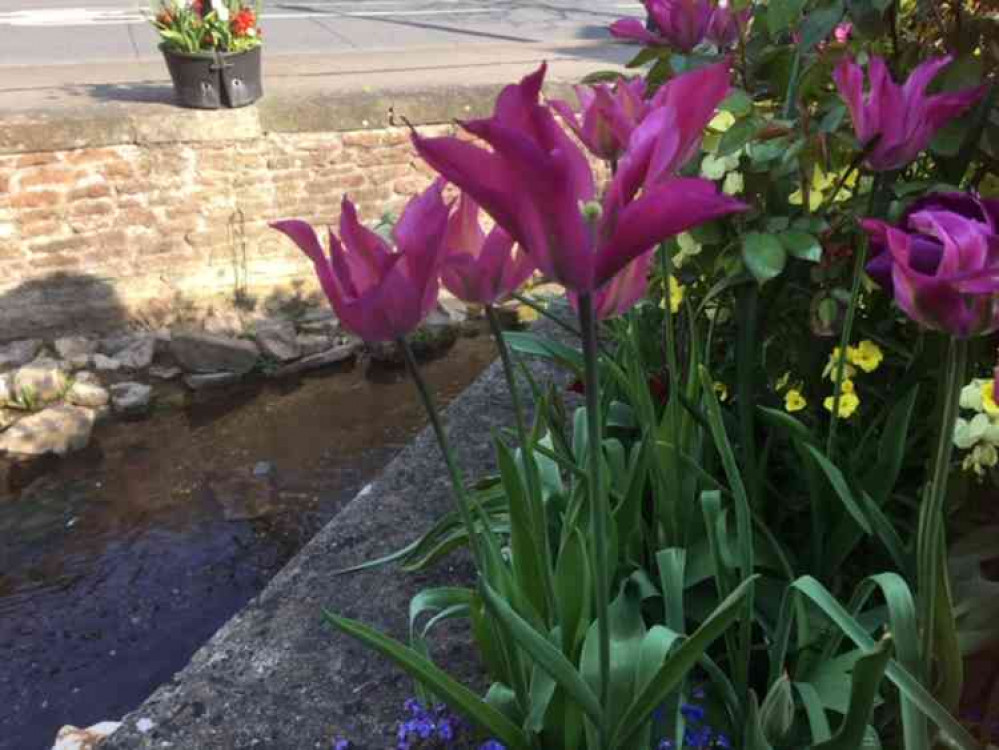 It is a colourful scene in the High Street