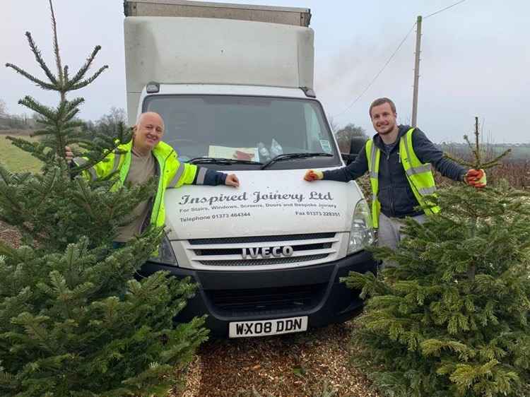 The tree collectors in action