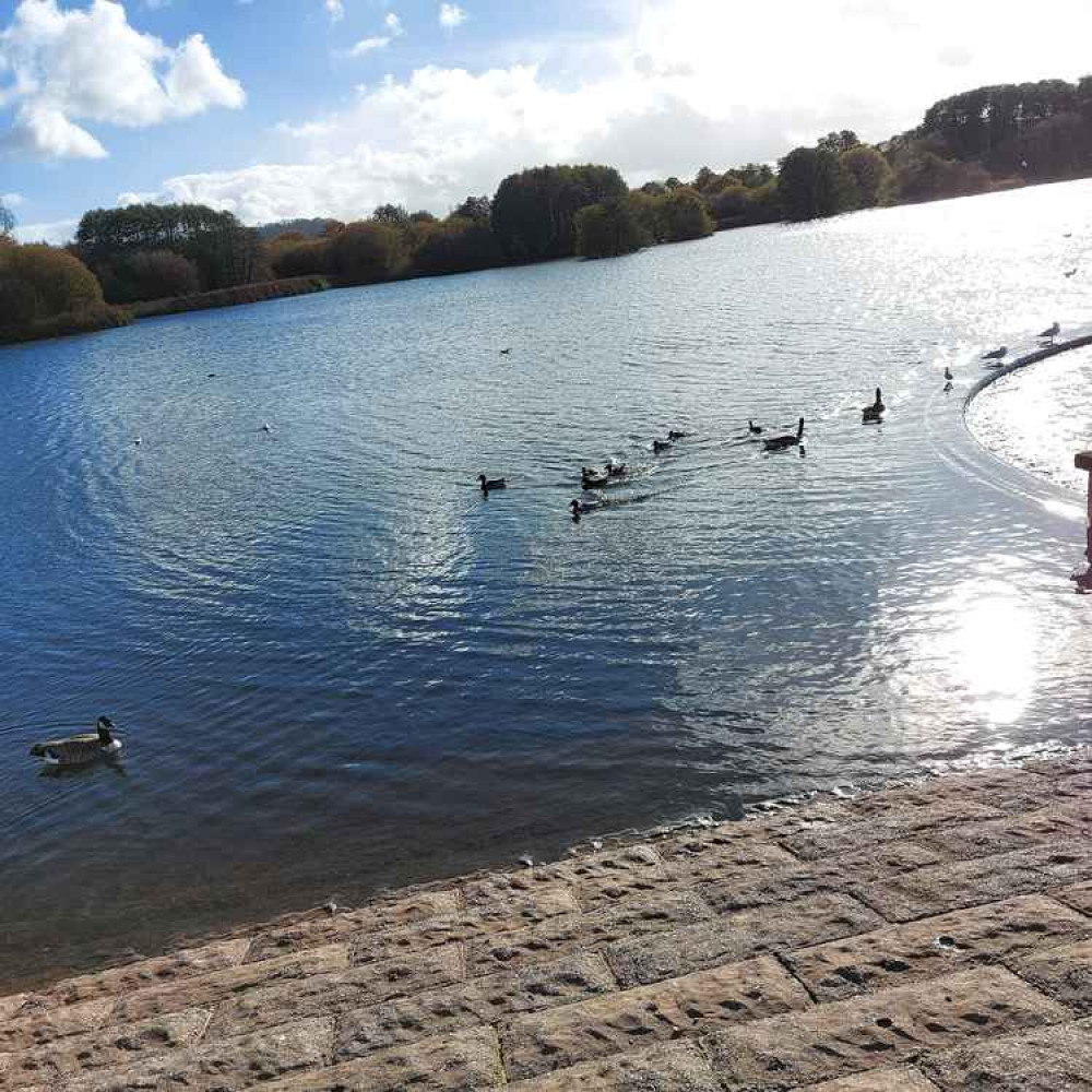 Chew Valley Lake in November 2020