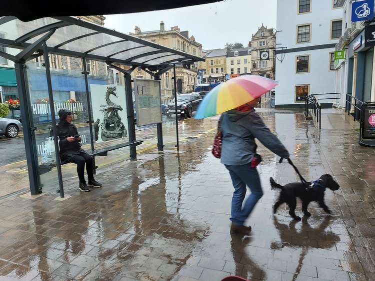 Good weather for ducks - and dogs ? Frome town centre October 2