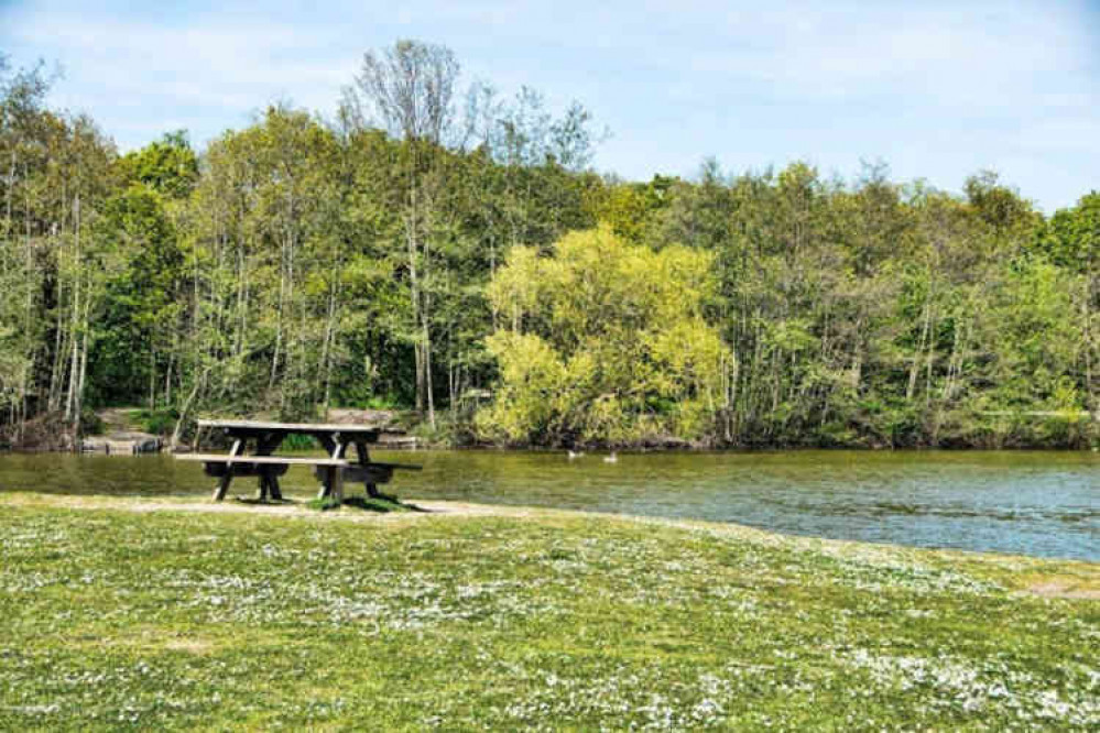 Belhus Woods Country Park - one of several areas of forestry and rural landcape in Thurrock administered under the Thames Chase project