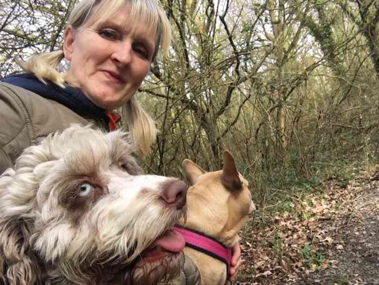 Julie and her beloved dogs.