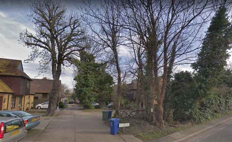 The trees that need big reductions in Purfleet