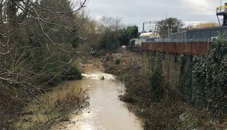 Has clearance of trees and debris as part of Stanford rail station played a part?