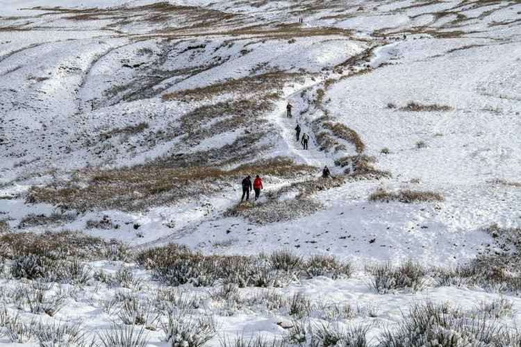 Winner: A Snowy Climb - Chris Dennis