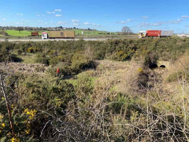 The pond created when the Manorway roundabout was widened is now dry.