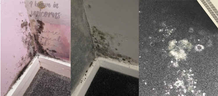 Mouldy children's bedrooms that have been brought to our attention.