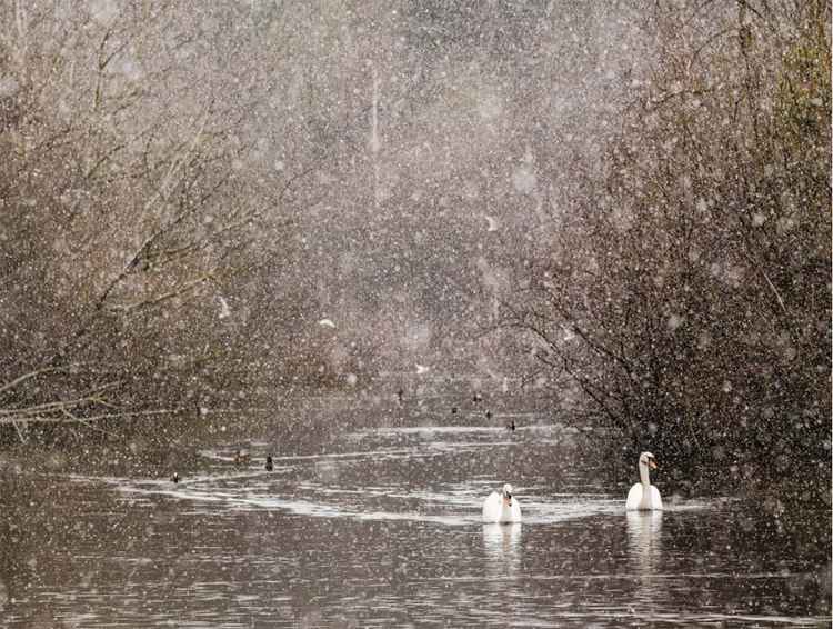 Tony Coleman - A snowy day in the lake.