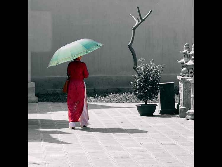 The Woman in Red