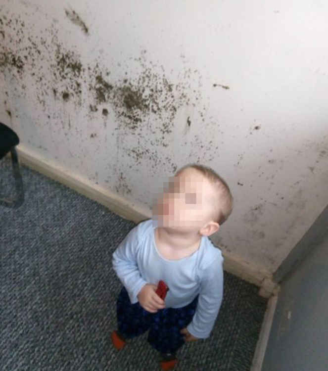 Shocking scenes in borough council houses as children are left at risk