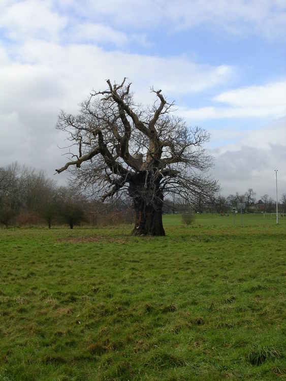 Belhus Park