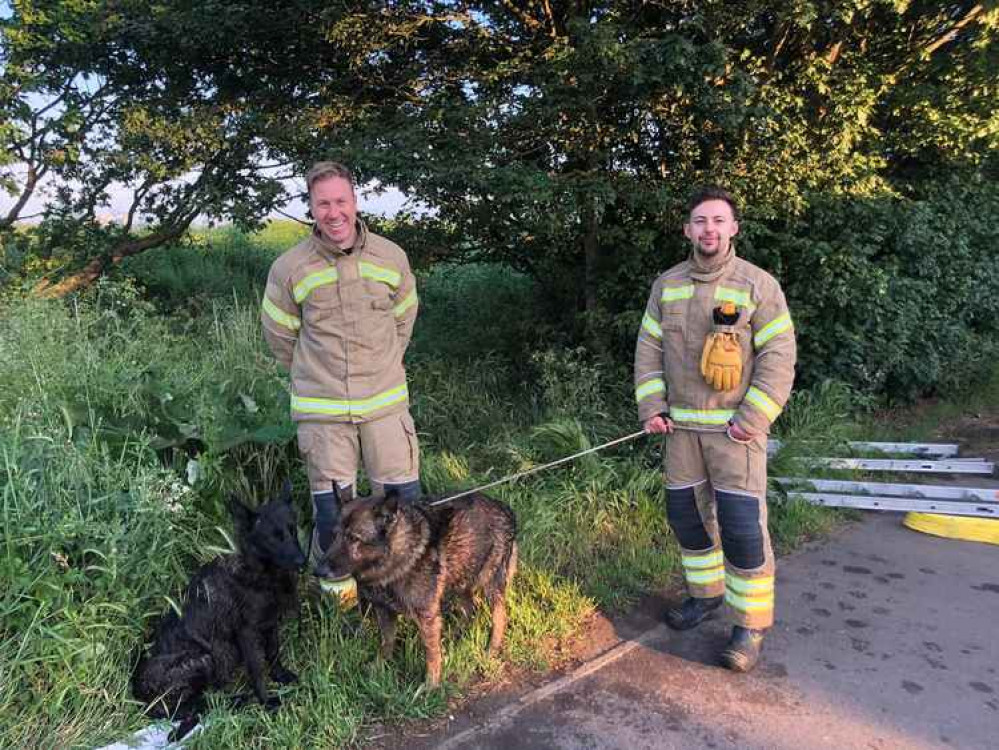 Firefighters Ian Kelley and Nathan Butcher with the rescued animals