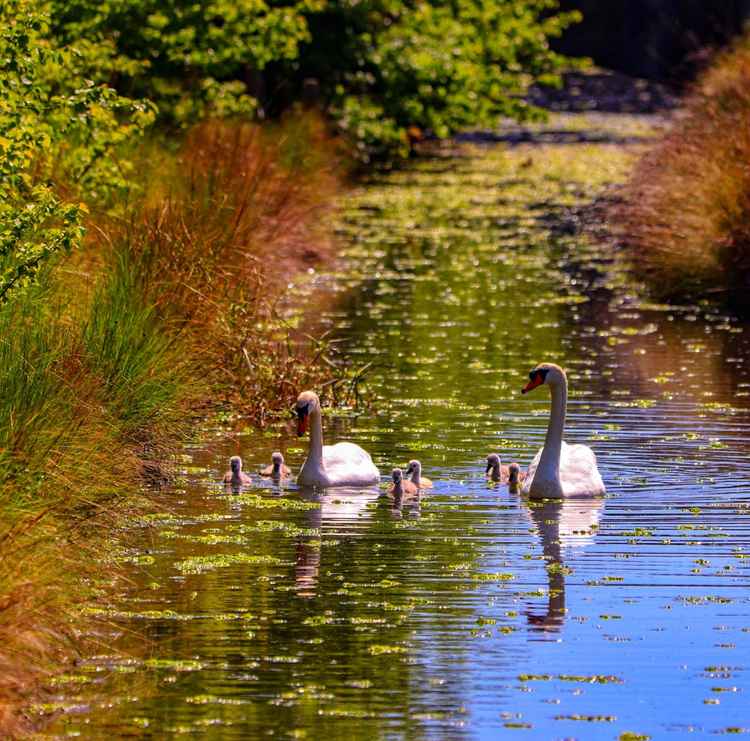 A previous competition winner, taken by Wendy Impett