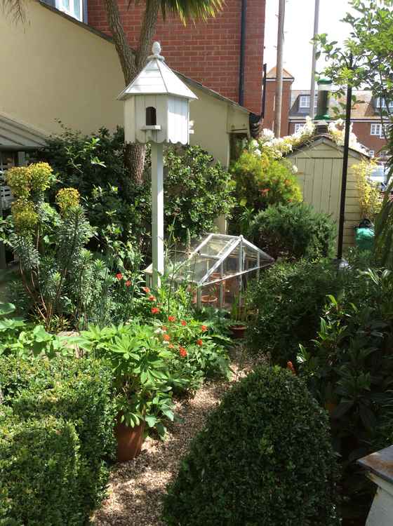 Lorrie O'Rawe's garden in Bridport