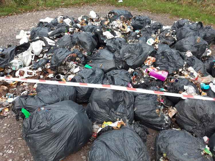 Sixty bags of rubbish were dumped and set alight at Powerstock Common nature reserve Picture: Lucy Ferris