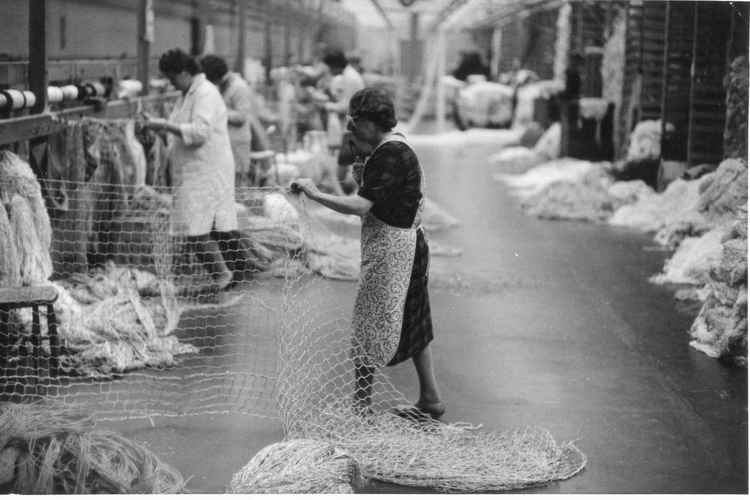 Gundry's court works Picture: Bridport Museum