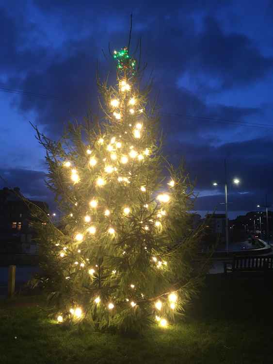 Christmas tree lights up Harbour Green in West Bay